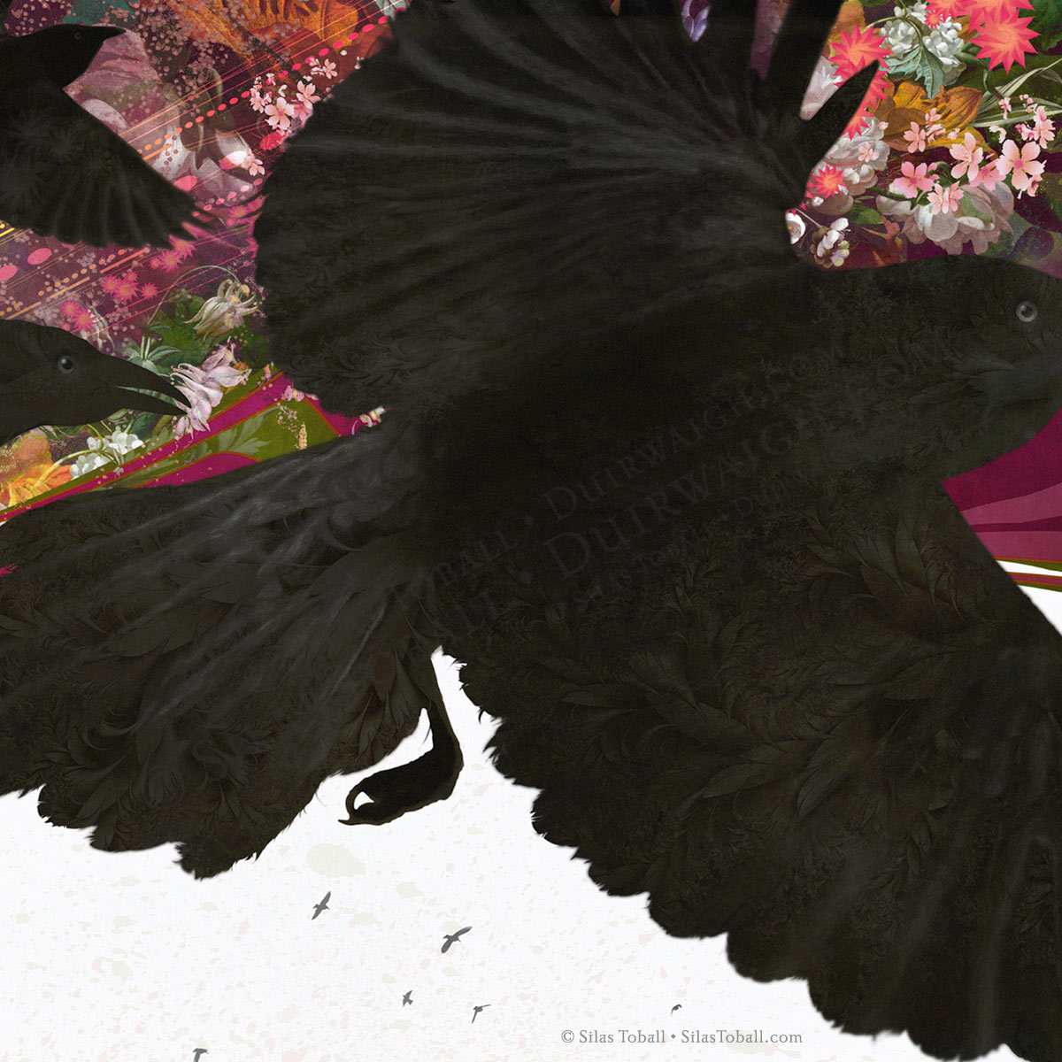 banksofeden_labels_w