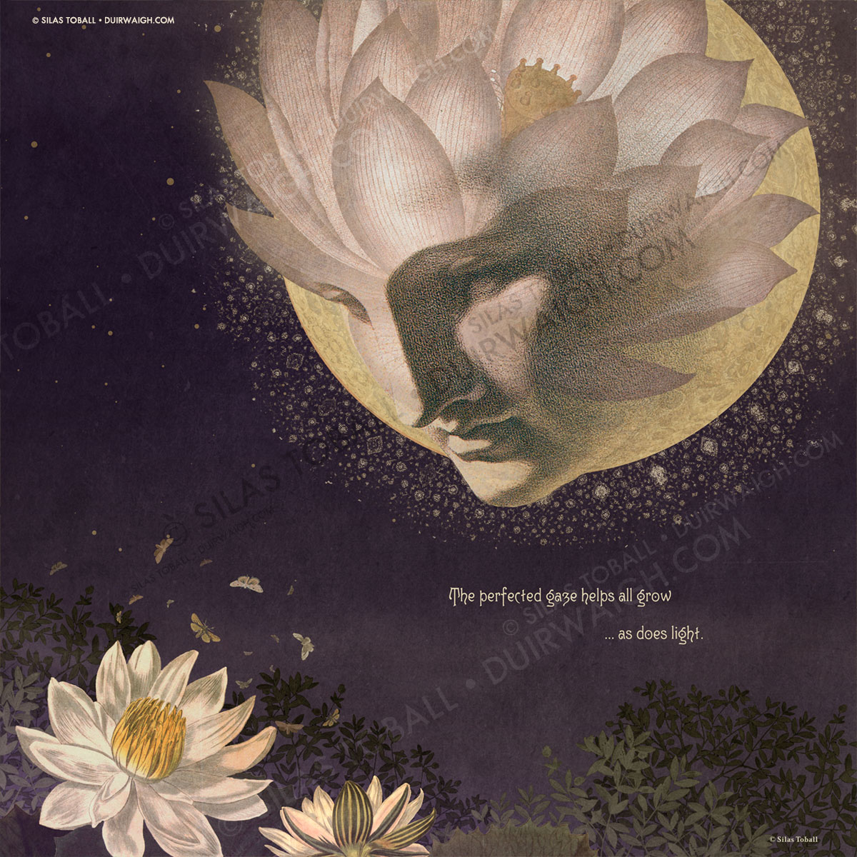 placeholder image-sq